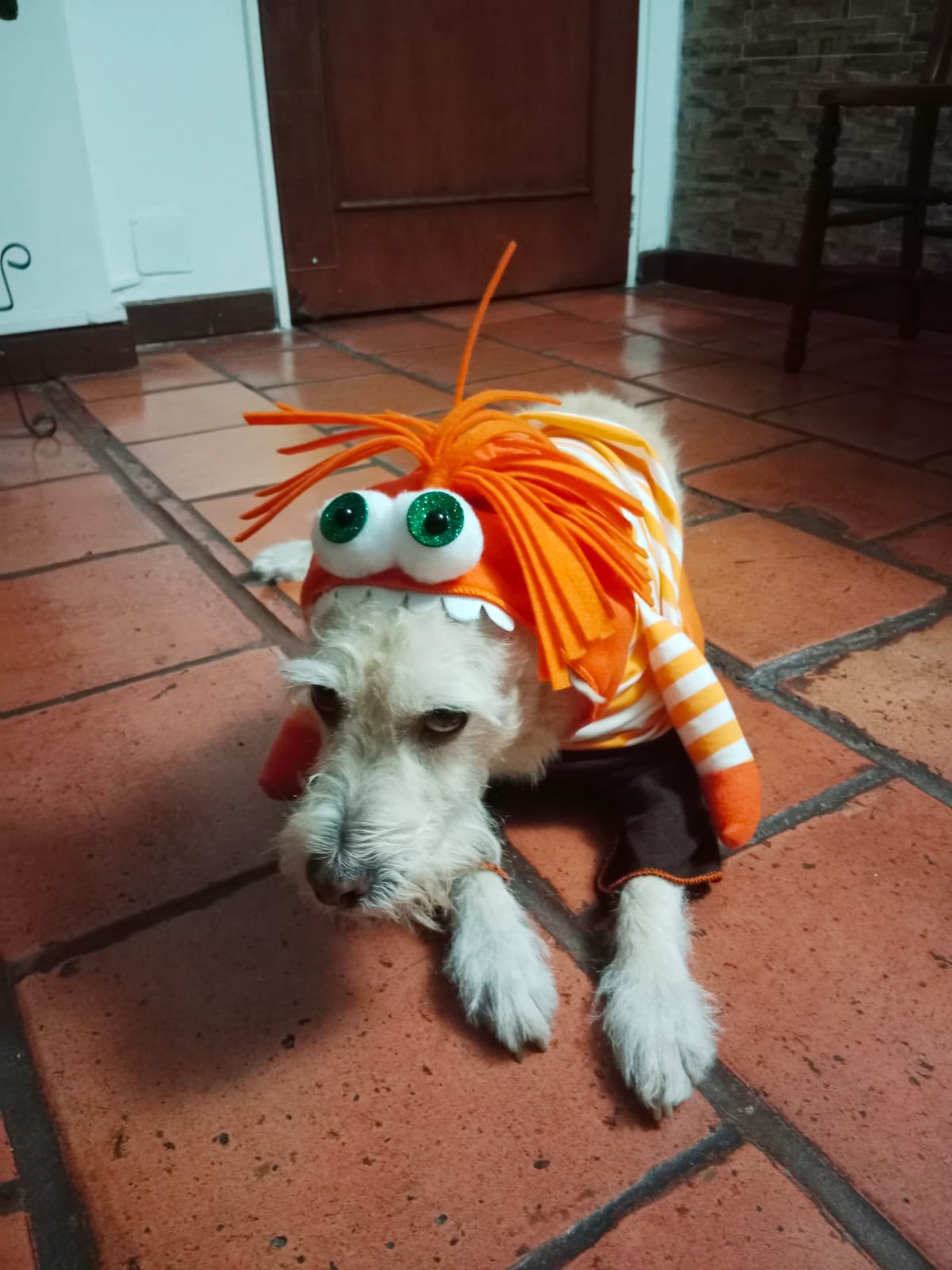 Disfraz de Ansiedad para Mascota
