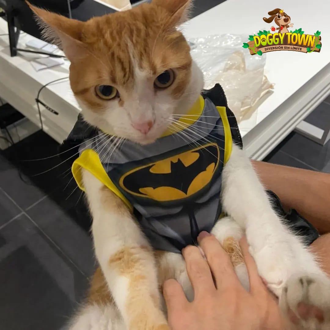 Disfraz de Batman para Mascota