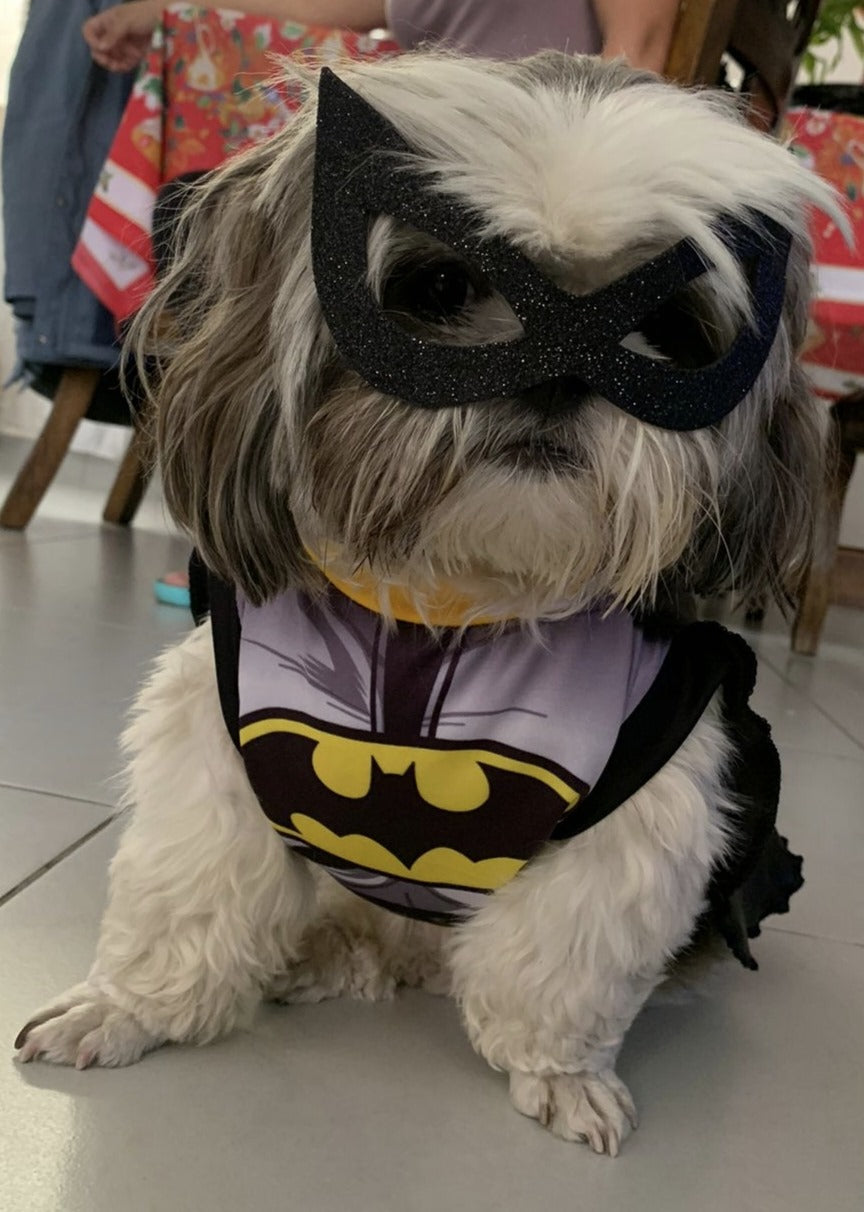 Disfraz de Batman para Mascota