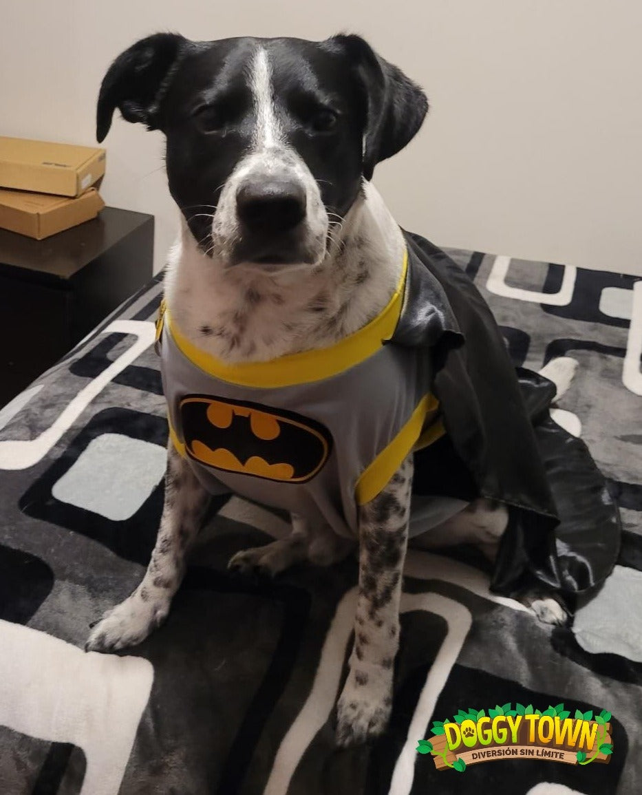Disfraz de Batman para Mascota