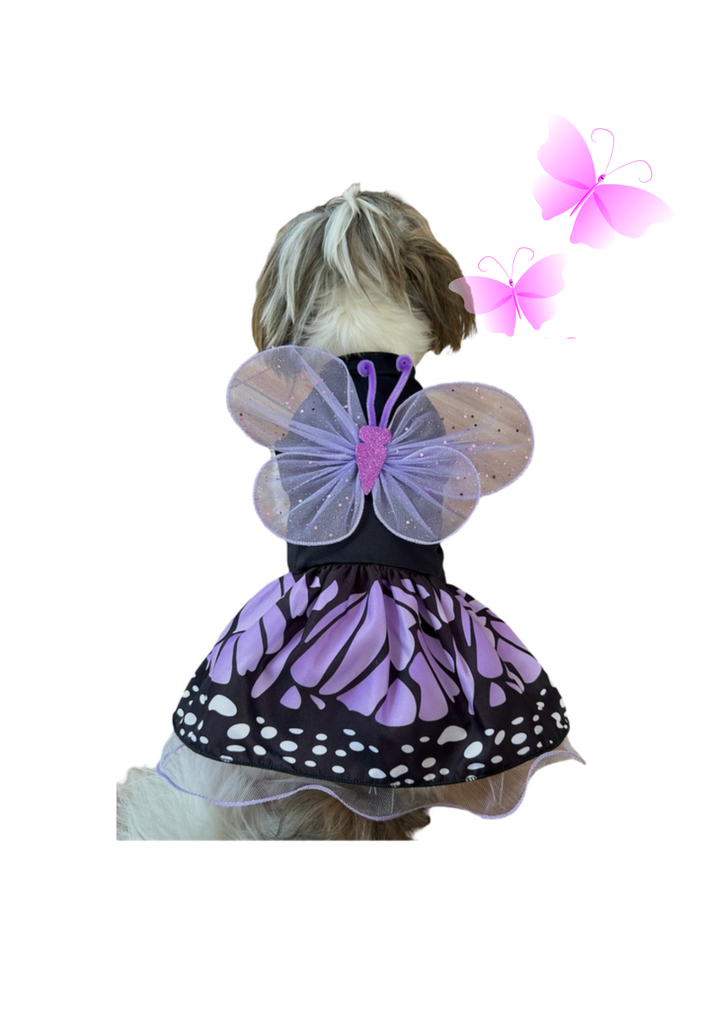Disfraz de Mariposa