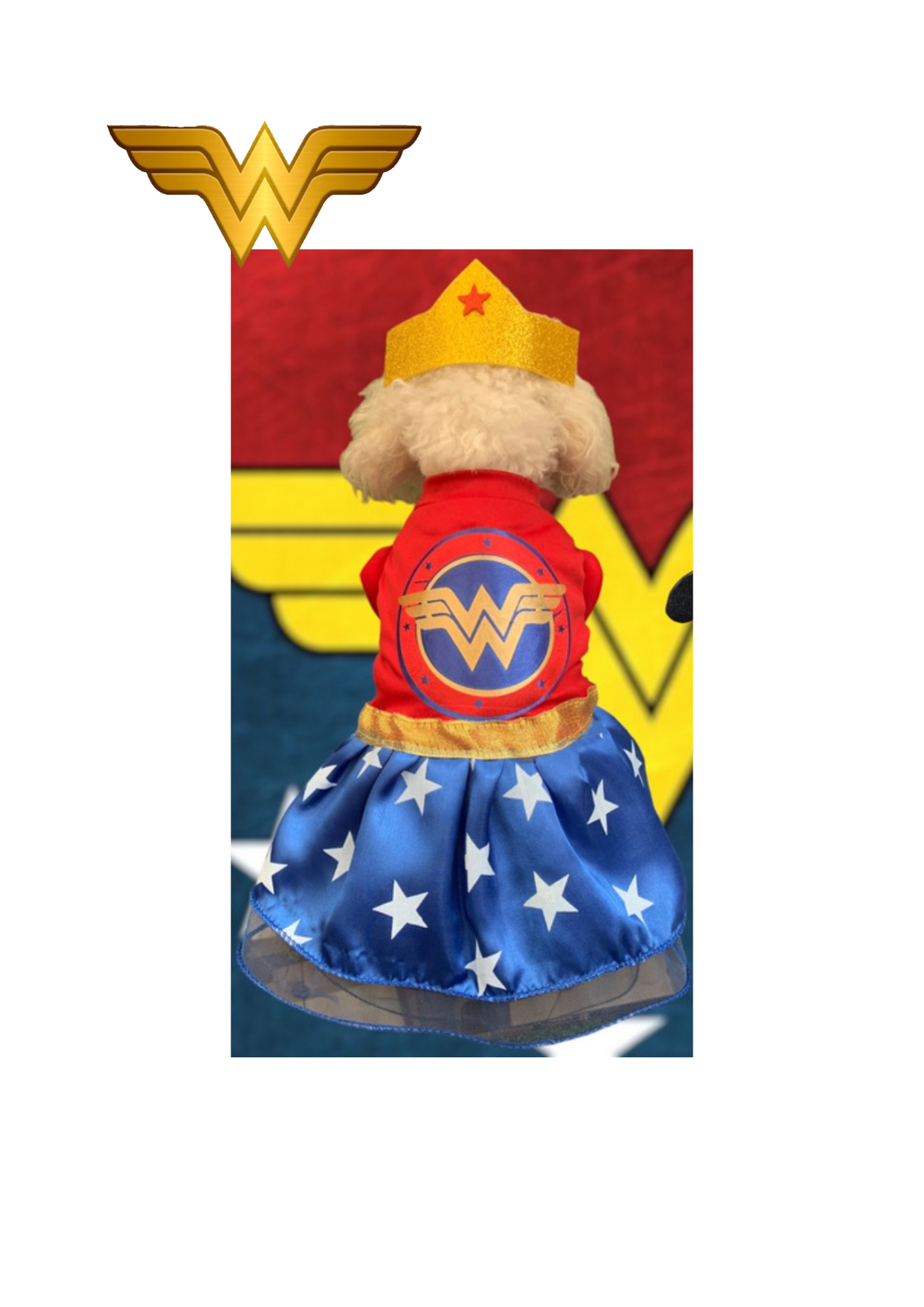 Mujer maravilla