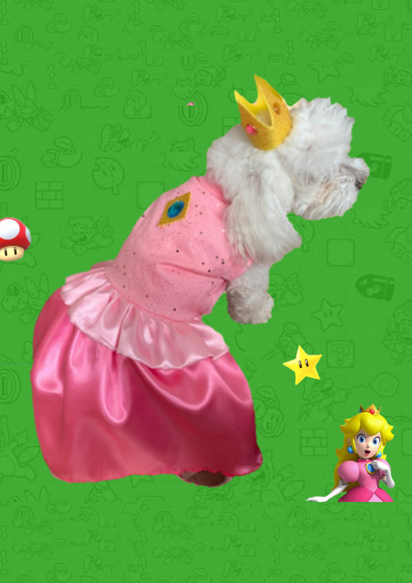 Princesa Peach