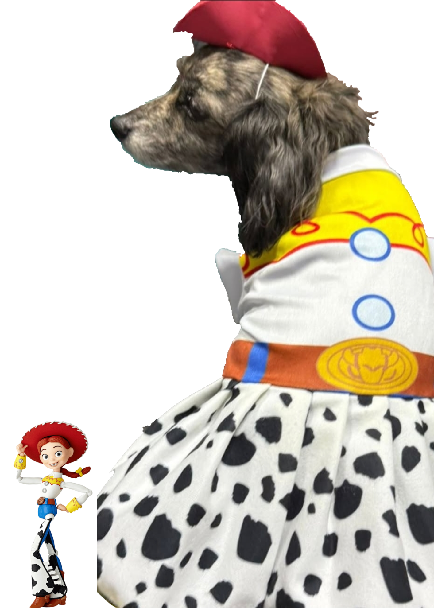 Vaquera toy story