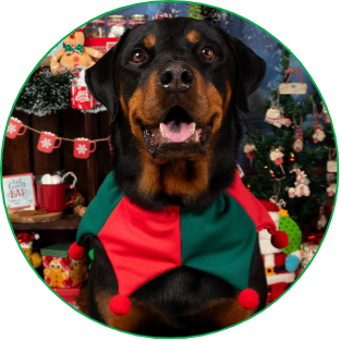 Pañoletas Navideñas