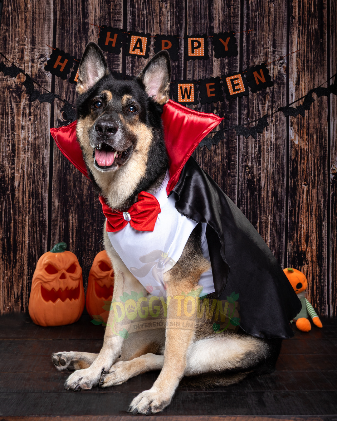 Disfraz de Vampiro para Perros y Gatos