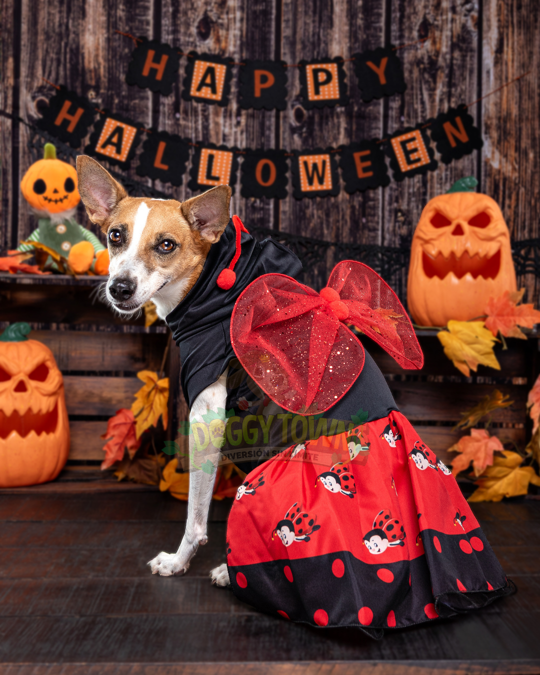 Disfraz de Mariquita para tu Mascota