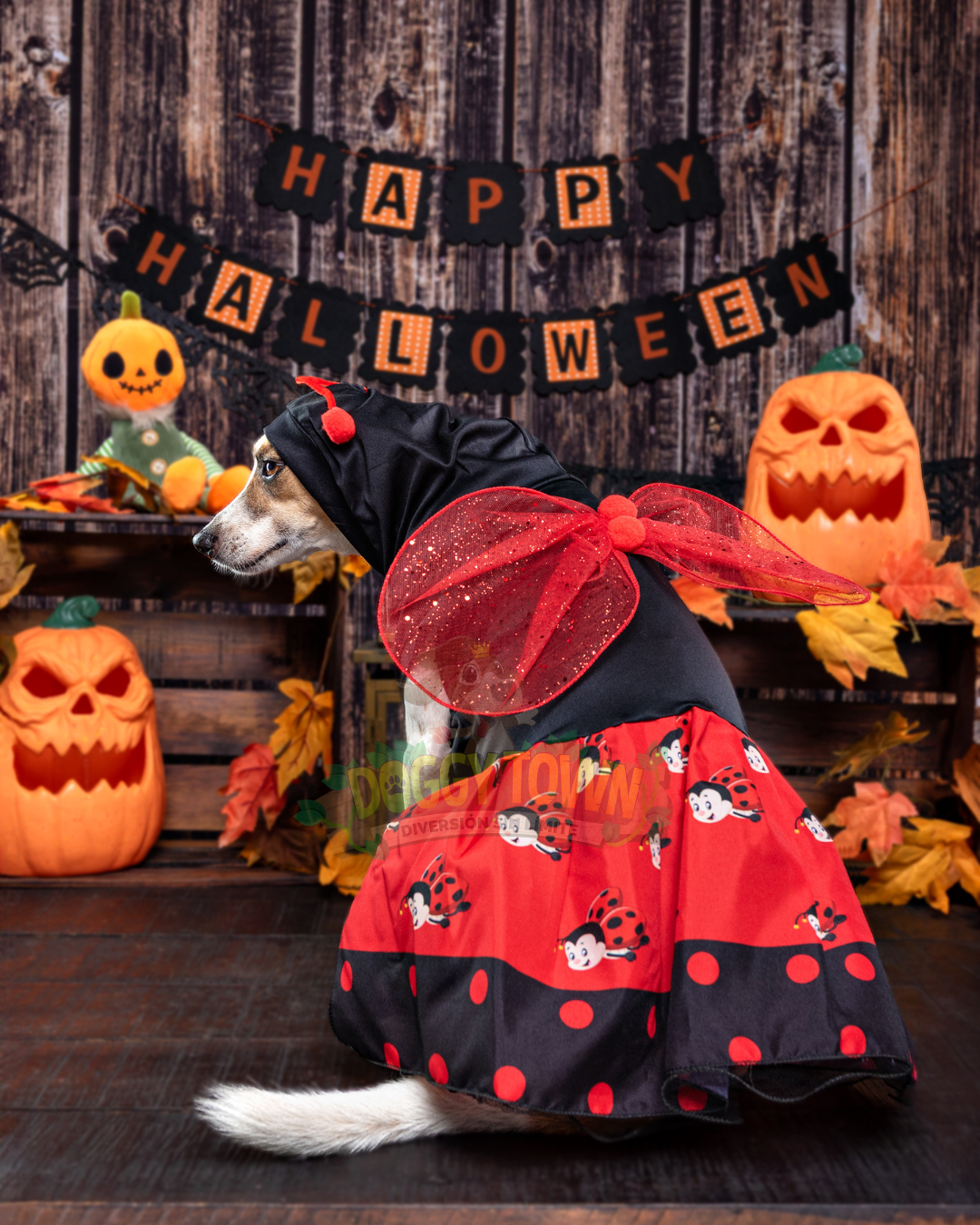 Disfraz de Mariquita para tu Mascota