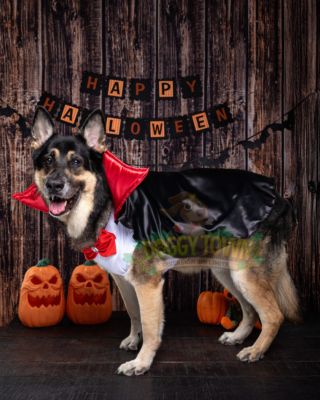 Disfraz de Vampiro para Perros y Gatos