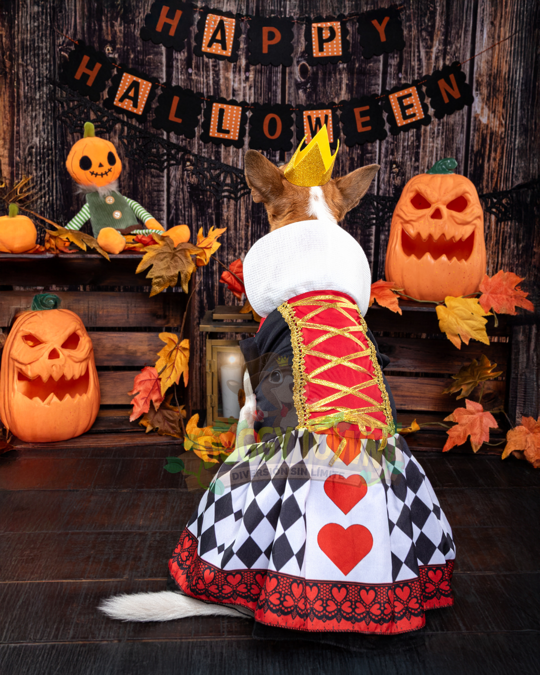 Disfraz de Reina de corazones para Perro o Gato