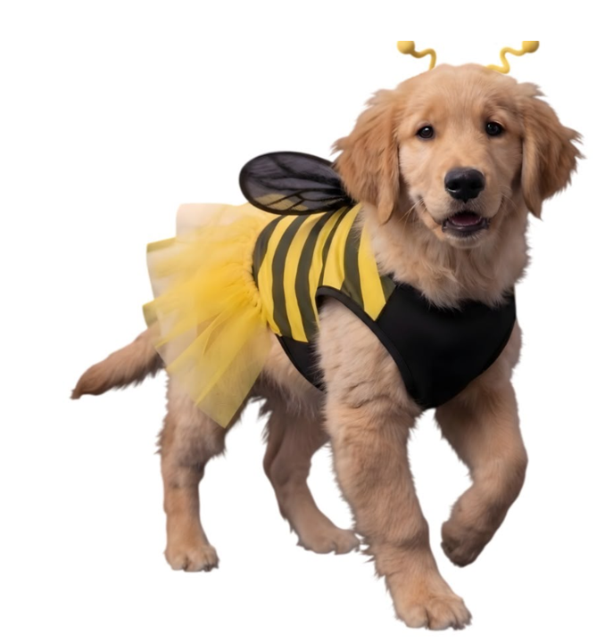 Disfraz de Abejita para Perros y Gatos