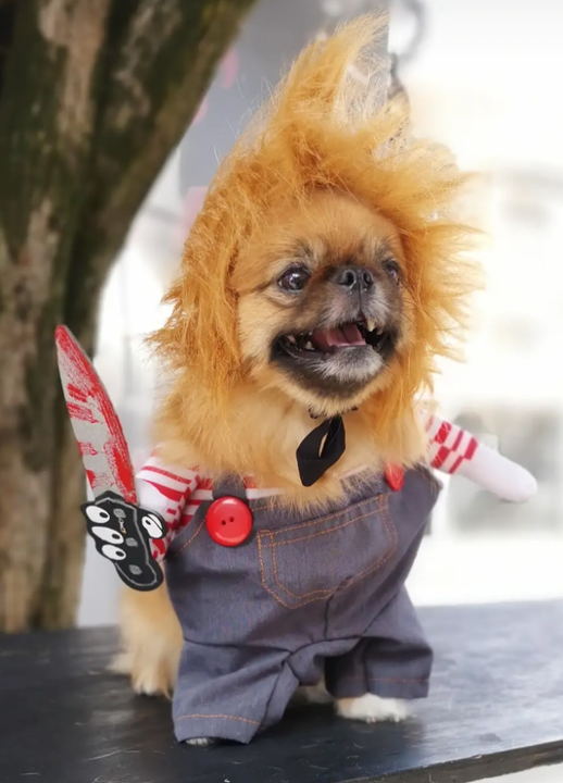 Disfraz de Chucky para Perros y Gatos