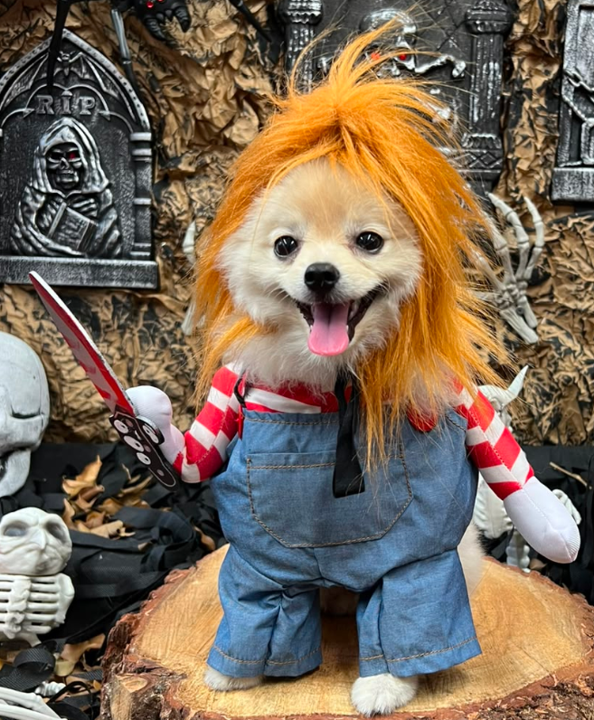 Disfraz de Chucky para Perros y Gatos