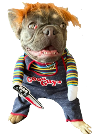 Disfraz de Chucky para Perros y Gatos