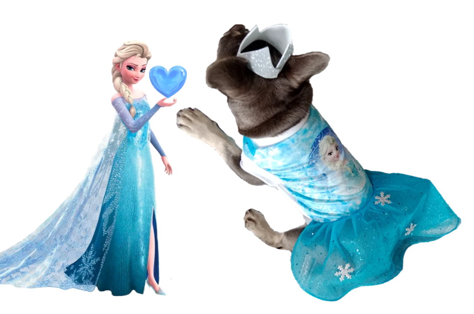 Disfraz de Princesa Frozen "Elsa" para Perros y Gatos