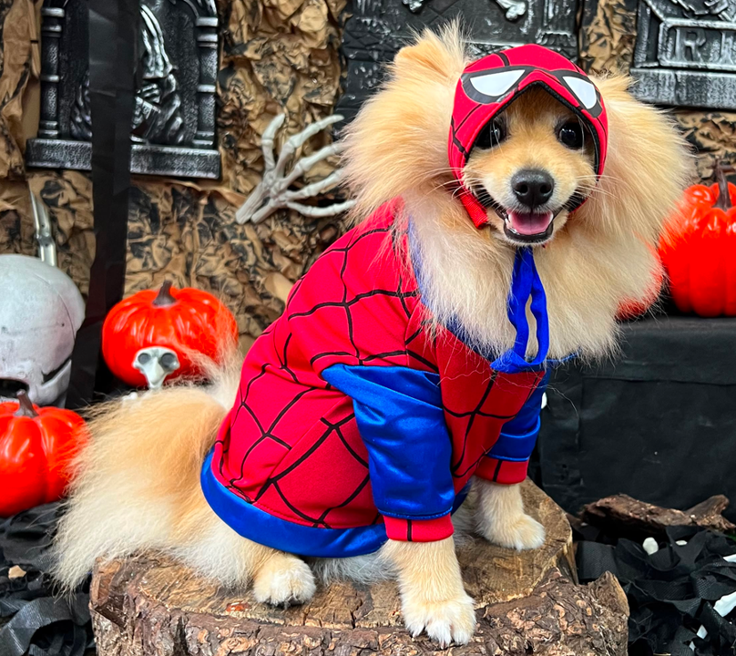 Disfraz de Hombre Araña para Perros y Gatos