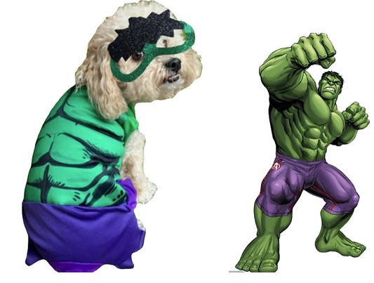 Disfraz de Hulk para Perros y Gatos
