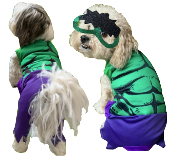 Disfraz de Hulk para Perros y Gatos