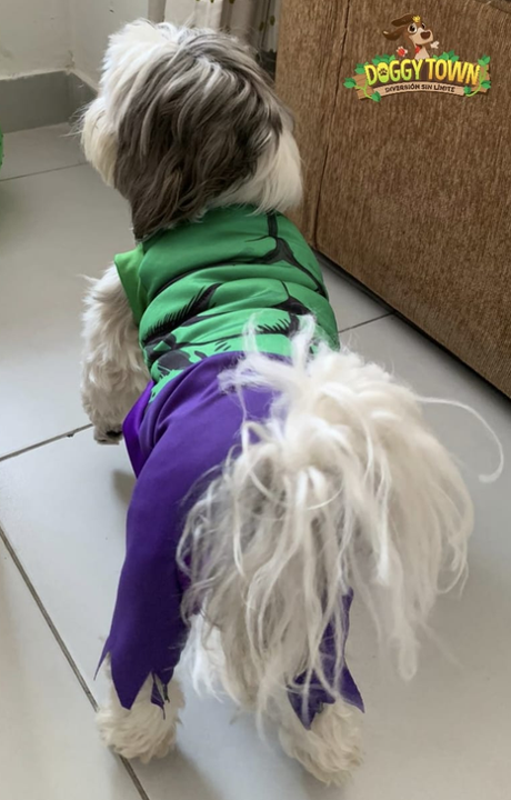 Disfraz de Hulk para Perros y Gatos