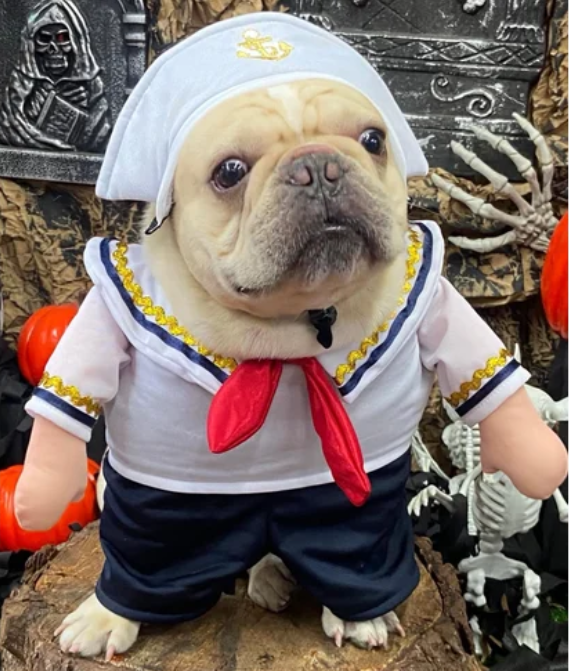 Disfraz de Marinero para Perros y Gatos
