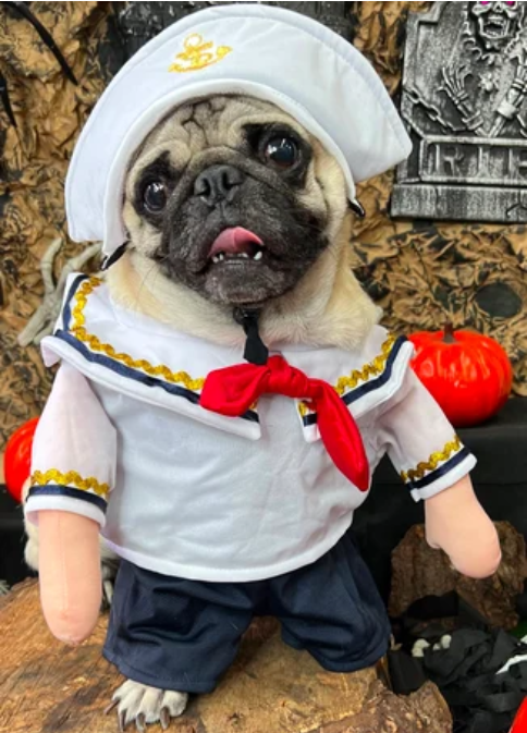 Disfraz de Marinero para Perros y Gatos
