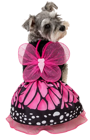 Disfraz de Mariposa para Perros y Gatos