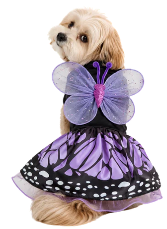 Disfraz de Mariposa para Perros y Gatos