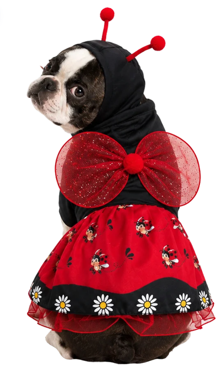 Disfraz de Mariquita para tu Mascota