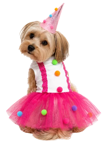 Disfraz de Payasita para tu Mascota