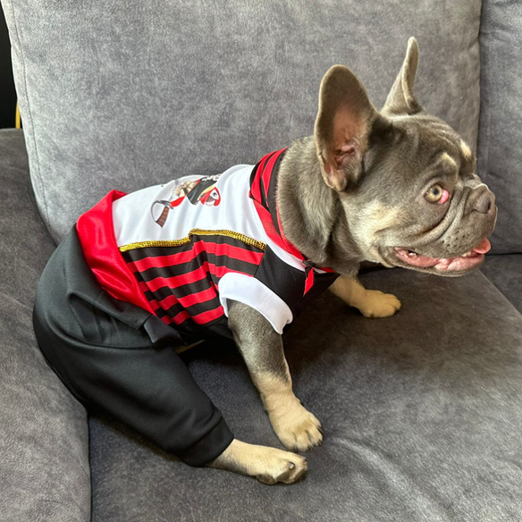 Disfraz de Pirata para Perros y Gatos