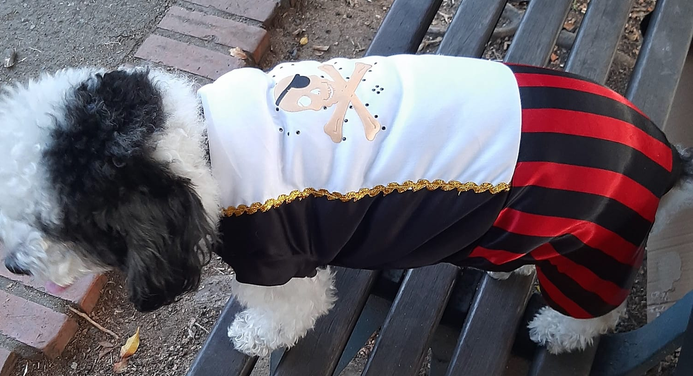 Disfraz de Pirata para Perros y Gatos
