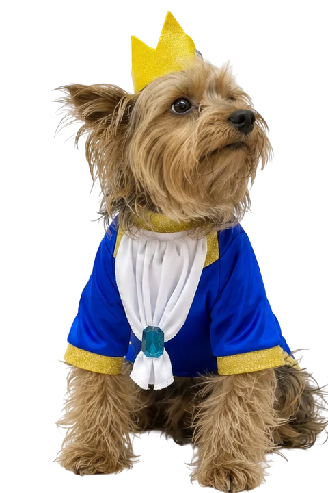 Disfraz de Principe "Bestia" para tu Peludo
