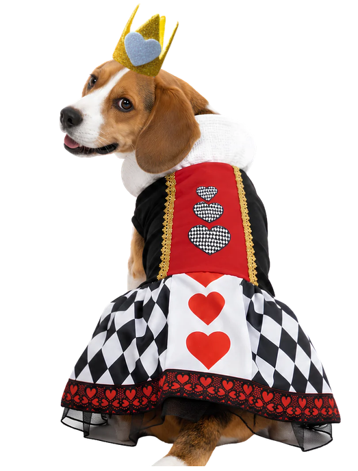 Disfraz de Reina de Corazones para Perro o Gato