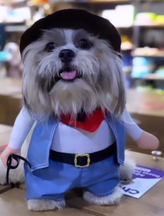 Disfraz de Sheriff para Perros y Gatos