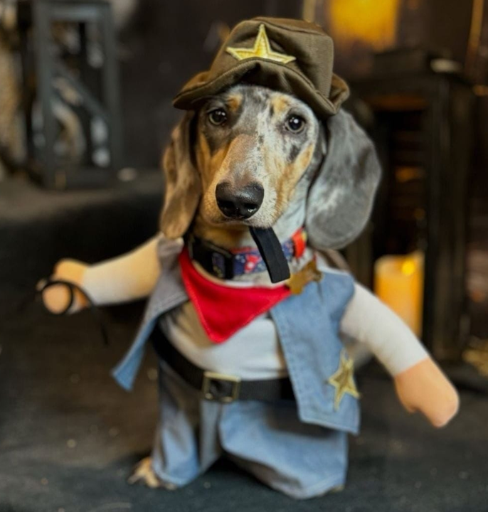 Disfraz de Sheriff para Perros y Gatos