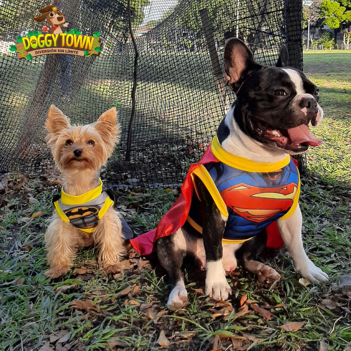 Disfraz de Superman para Perros y Gatos
