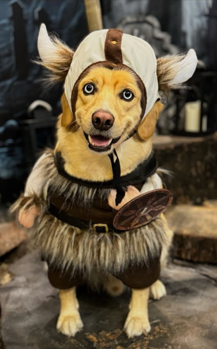 Disfraz de Vikingo para Perros y Gatos