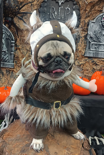 Disfraz de Vikingo para Perros y Gatos