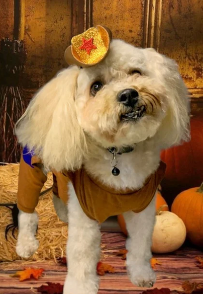 Disfraz de Vaquero Woody (Toy Story) para Perros y Gatos