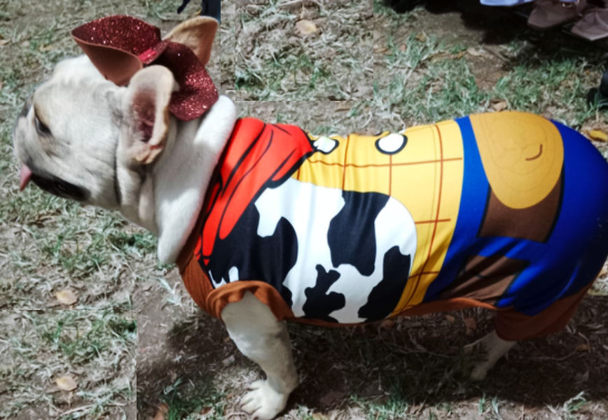 Disfraz de Vaquero Woody (Toy Story) para Perros y Gatos