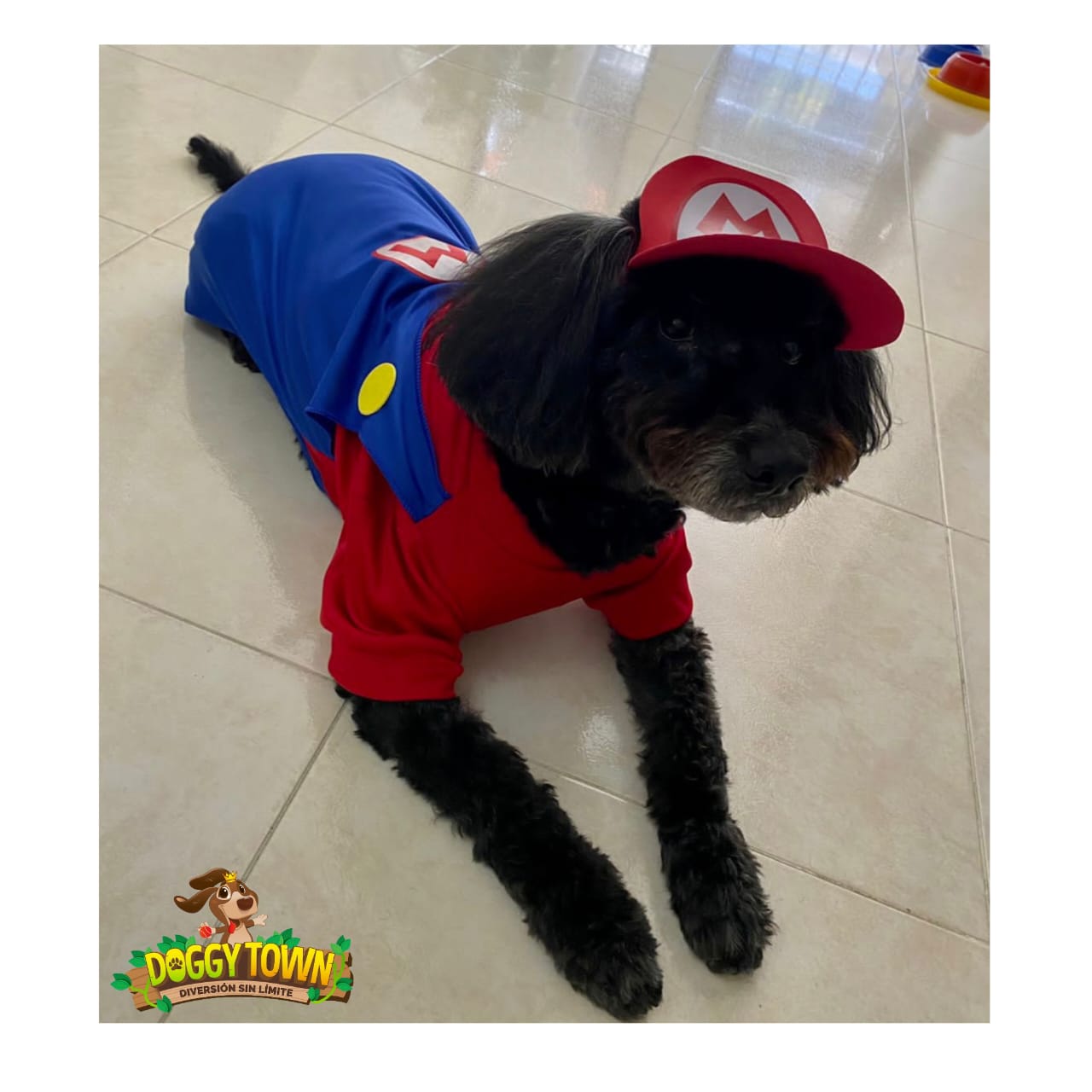Mario Bross