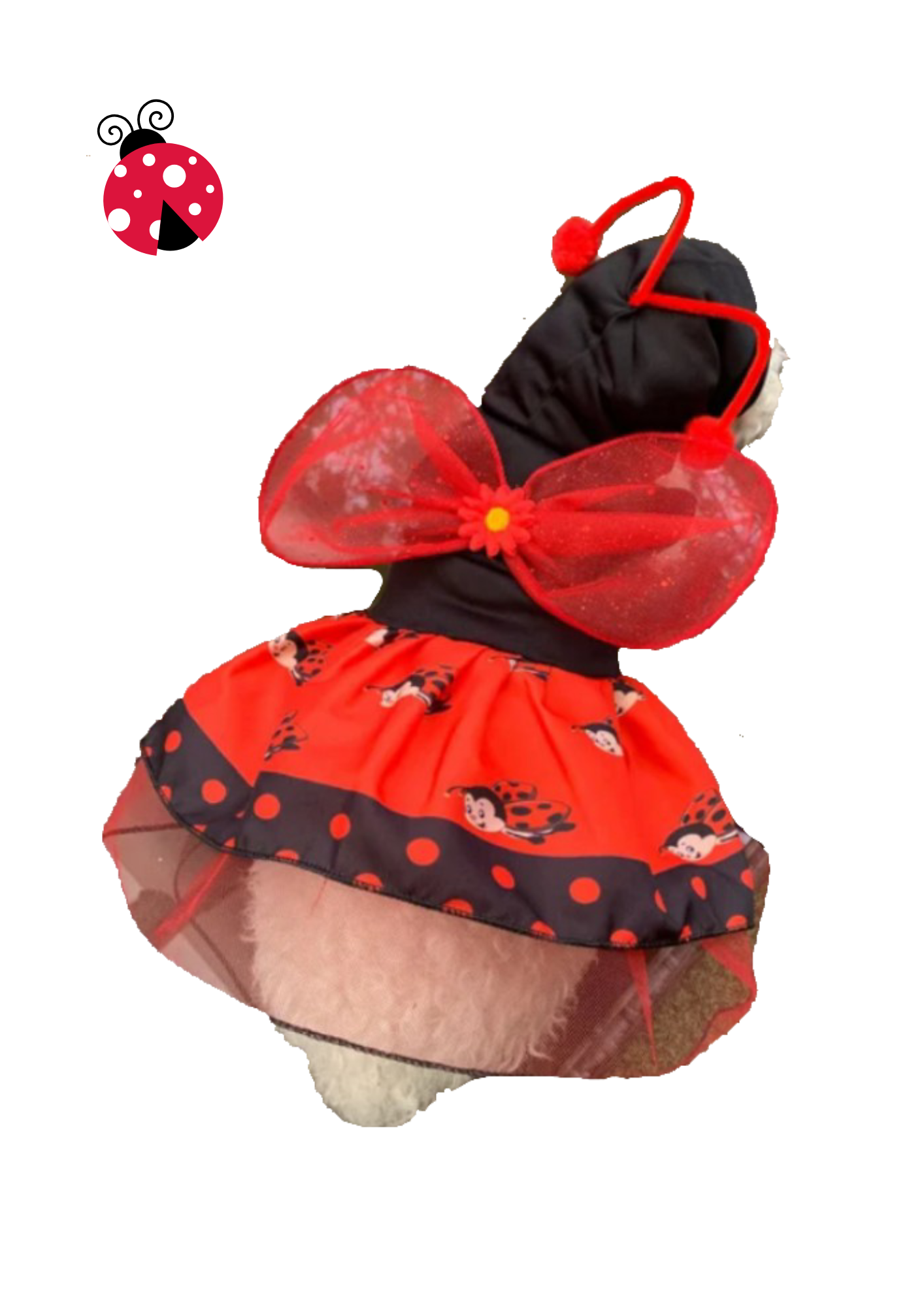 Disfraz de Mariquita para tu Mascota