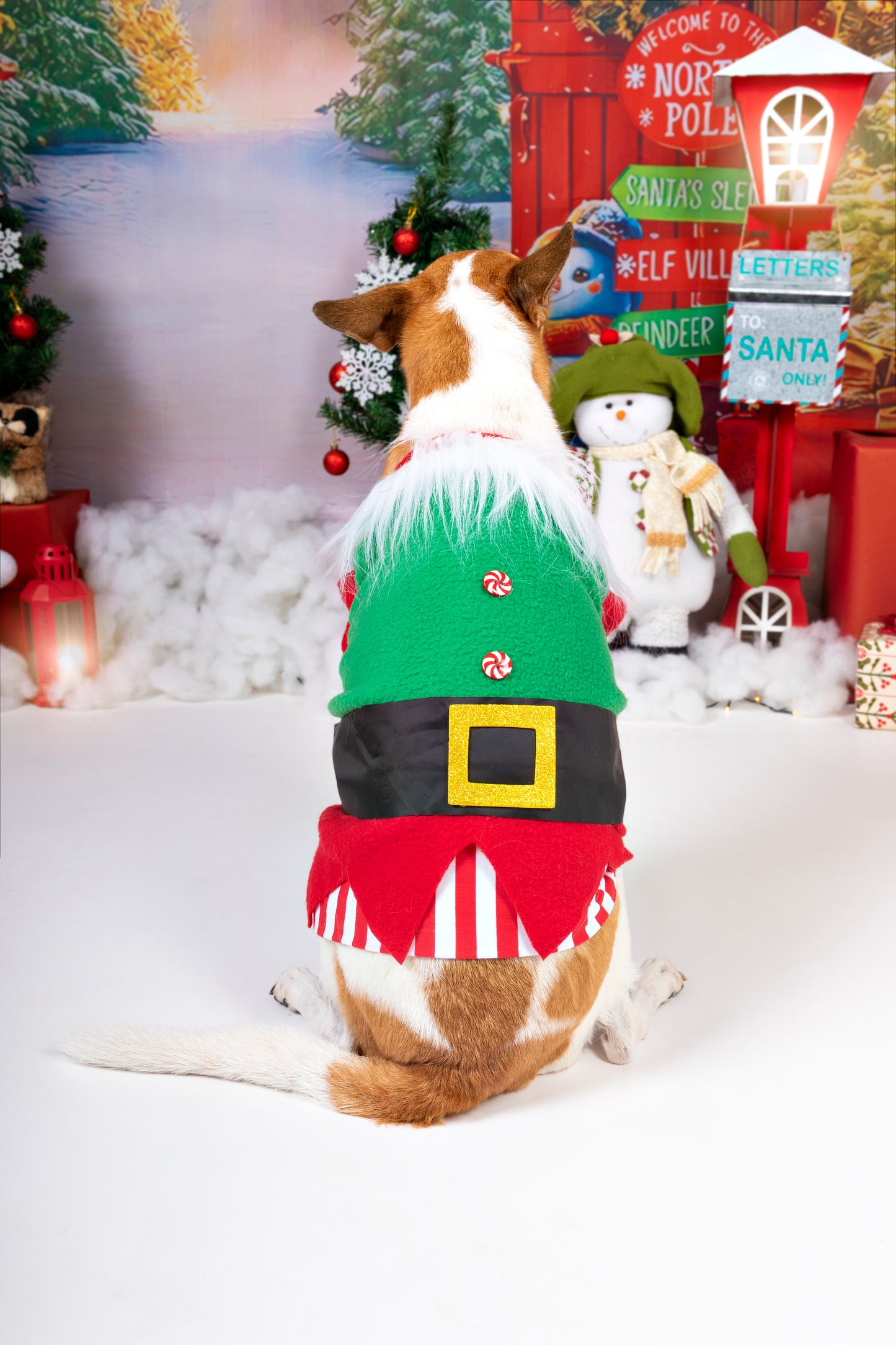 Saco de Elfo Navideño para Perros y Gatos