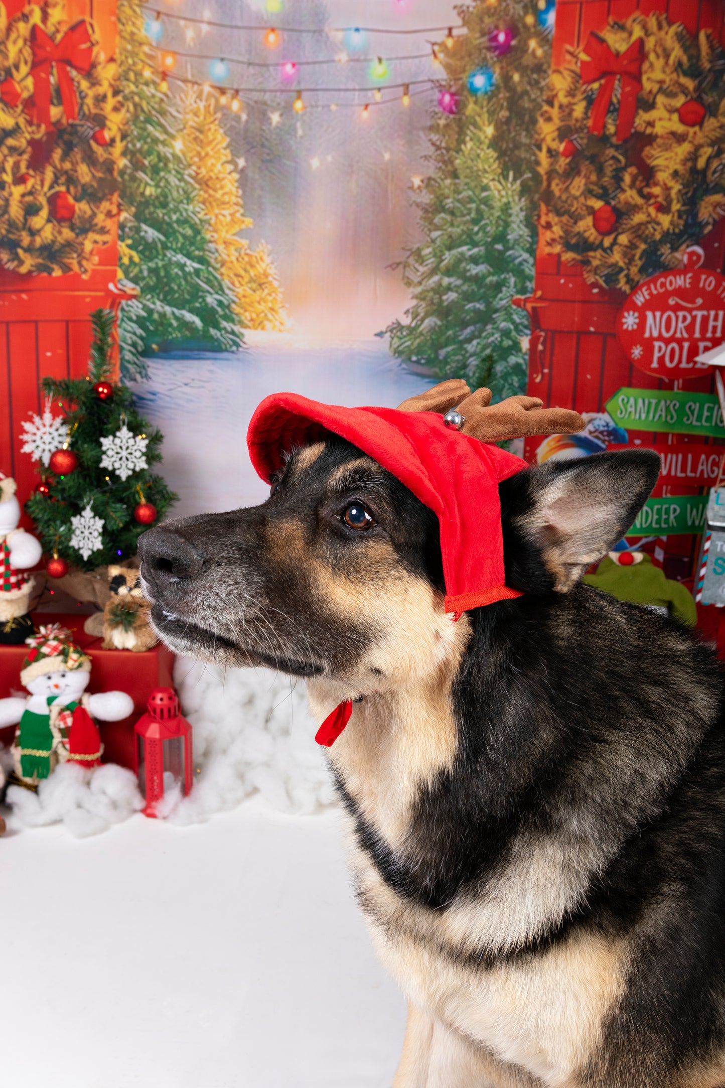 Gorra Navidad Reno Roja Cuernos Café