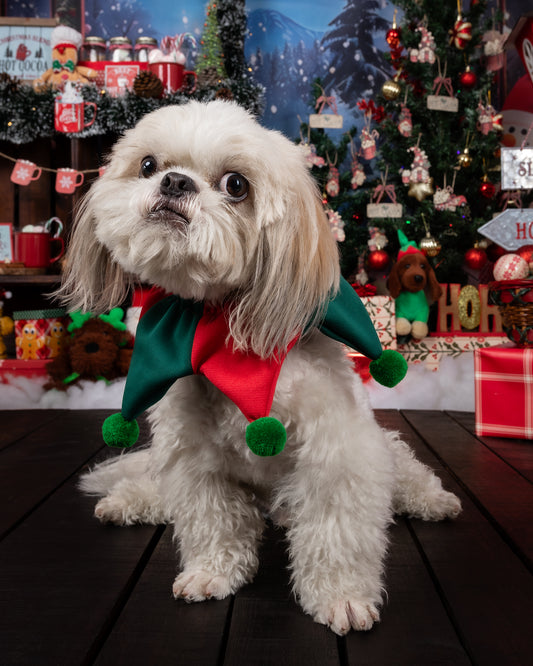 Arlequín Navideño para Perros