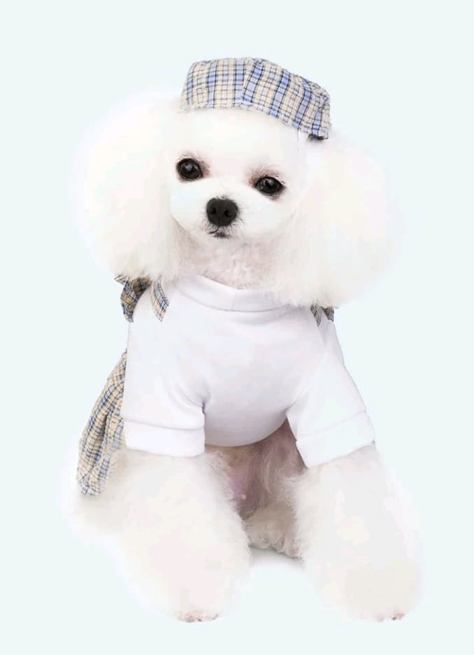 Vestido para Mascotas Estampado Cuadros con Sombrero