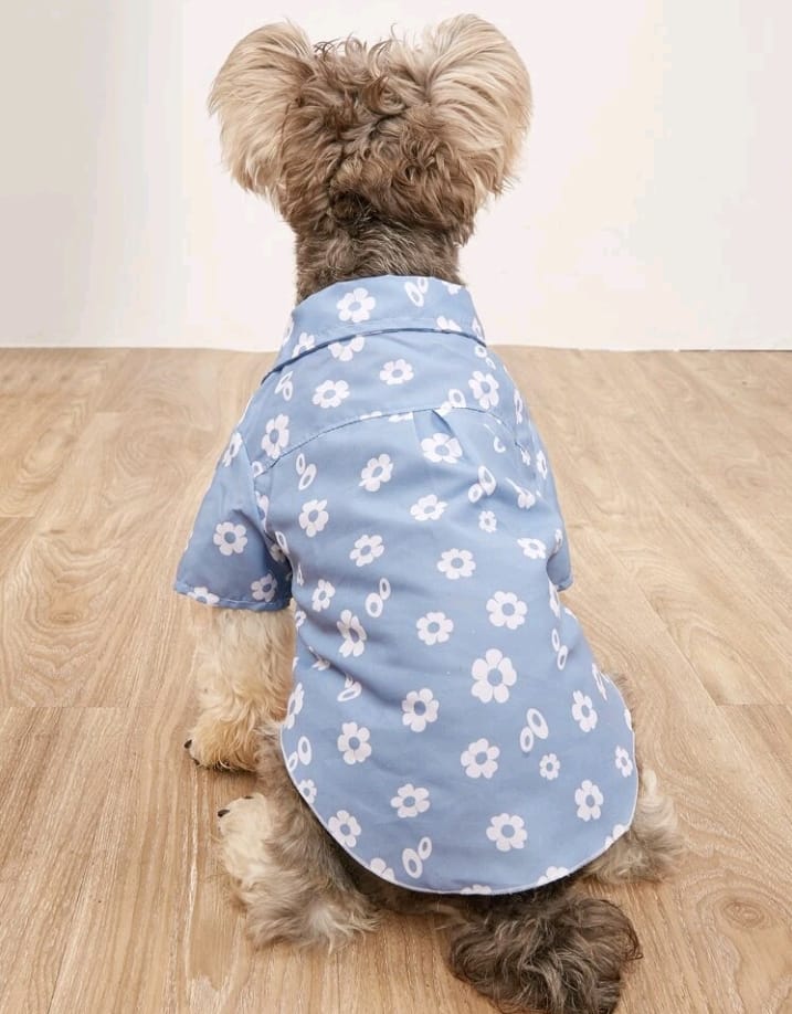 Camisa para Perro Estampado Flores - Azul