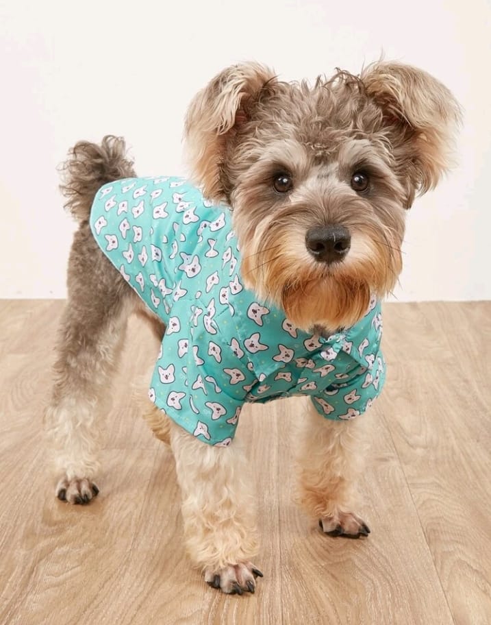 Camisa para Perros Estampado Caritas - Aguamarina