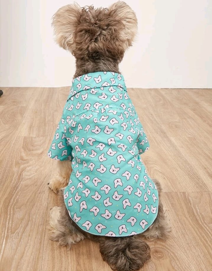 Camisa para Perros Estampado Caritas - Aguamarina