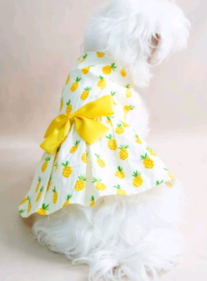 Vestido para Mascotas Estampado Frutas